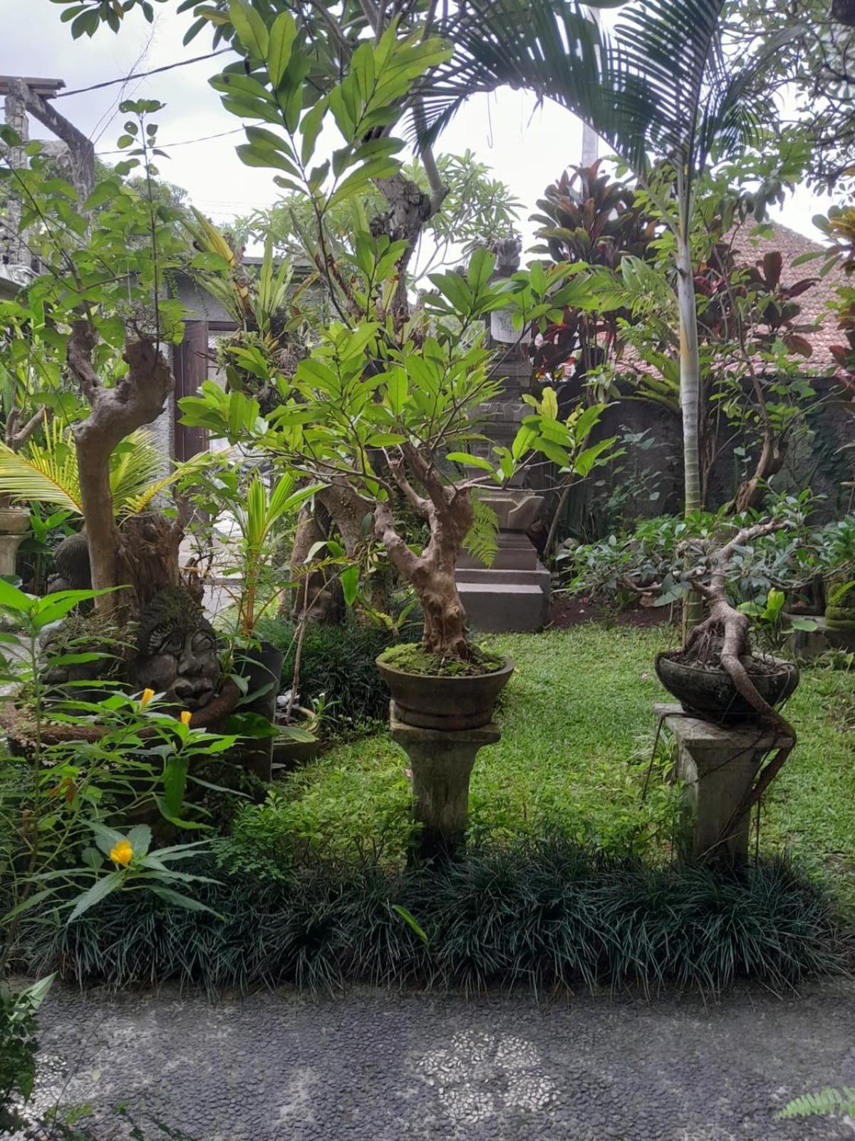 Soka Homestay Ubud Zewnętrze zdjęcie