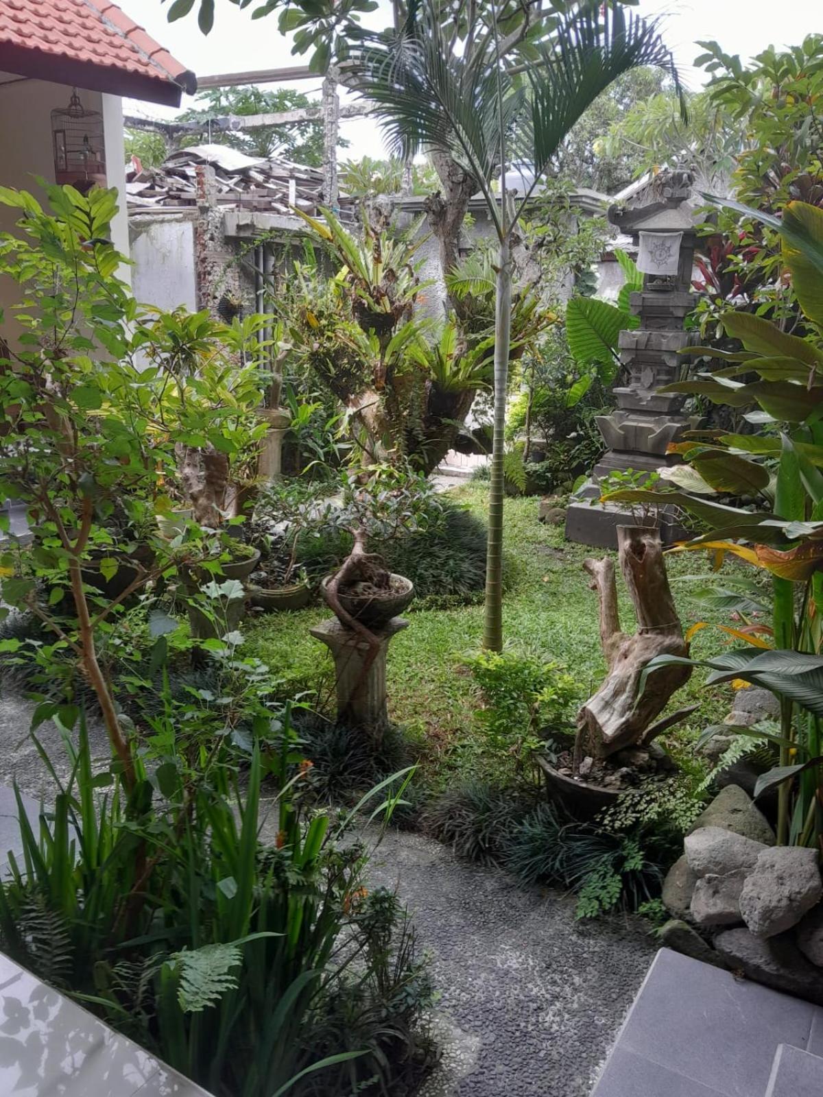 Soka Homestay Ubud Zewnętrze zdjęcie