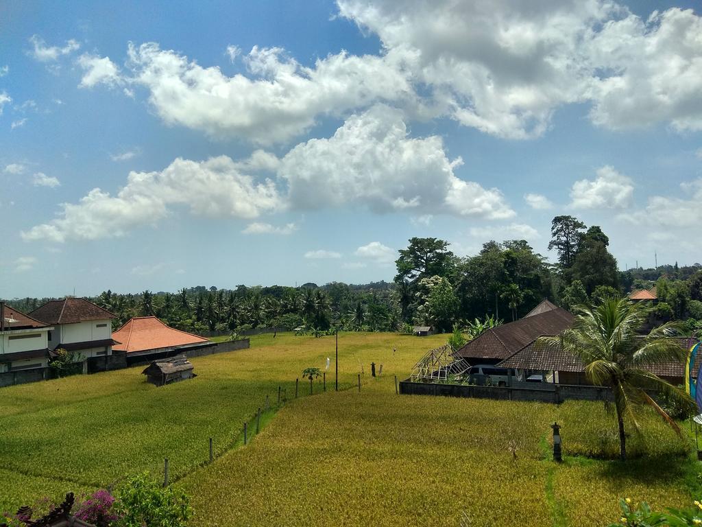 Soka Homestay Ubud Zewnętrze zdjęcie