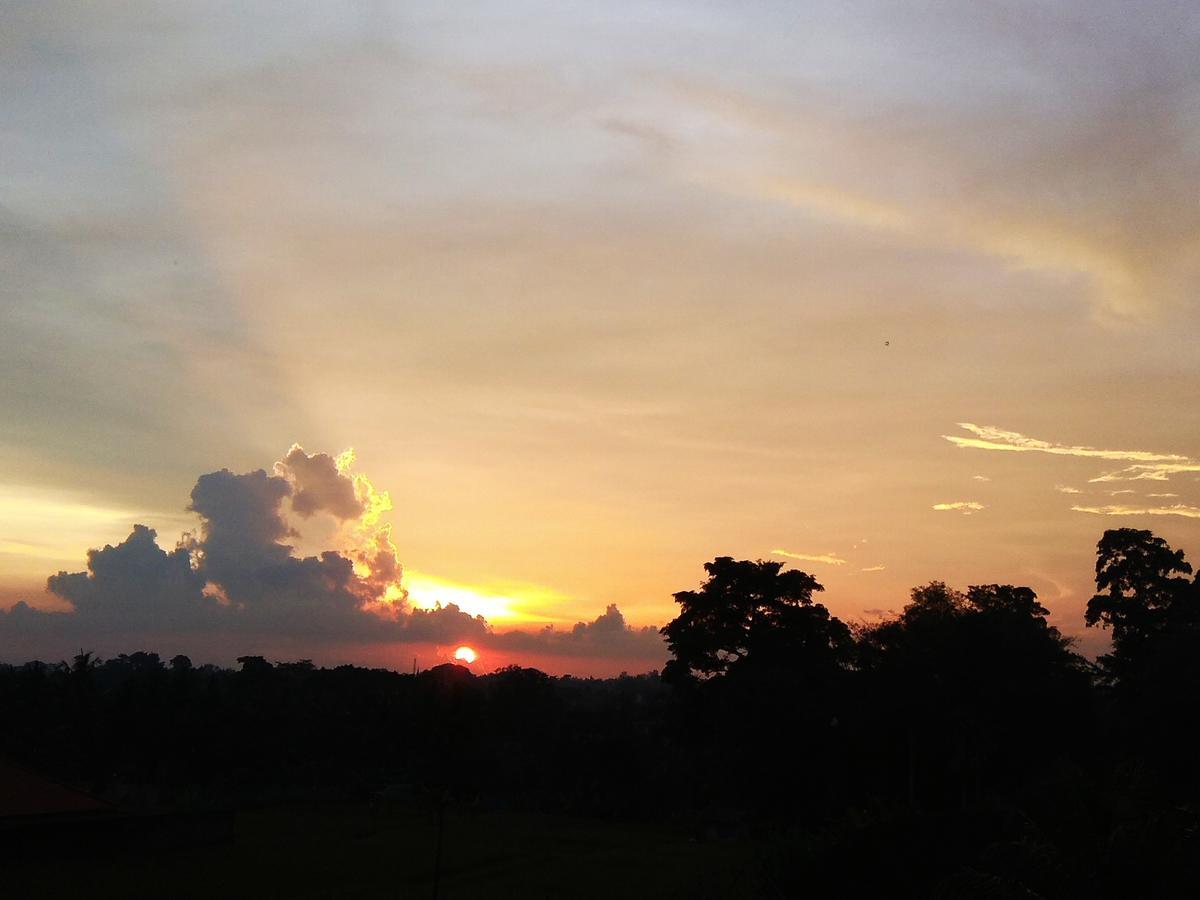 Soka Homestay Ubud Zewnętrze zdjęcie